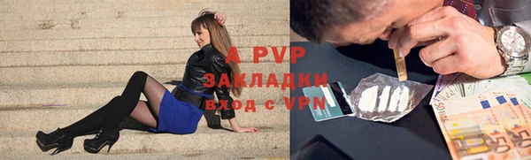 прущие грибы Куйбышев