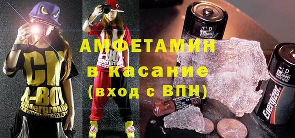 индика Кулебаки