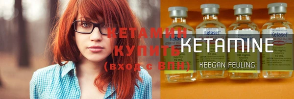 индика Кулебаки