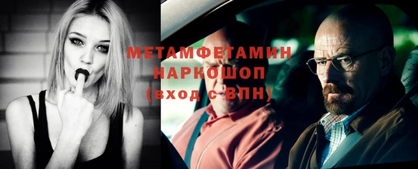 индика Кулебаки