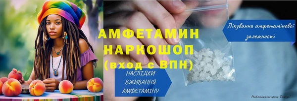 индика Кулебаки