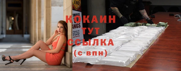 прущие грибы Куйбышев
