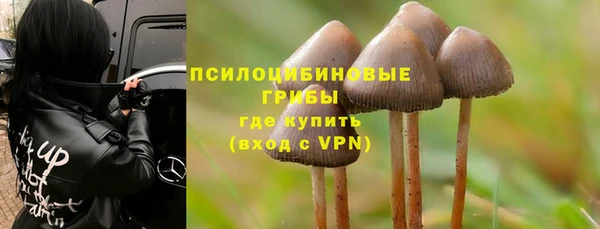 индика Нижний Тагил