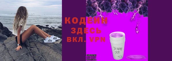 индика Кулебаки