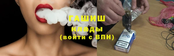 индика Кулебаки