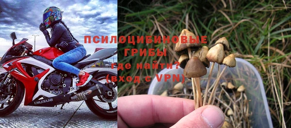 прущие грибы Куйбышев