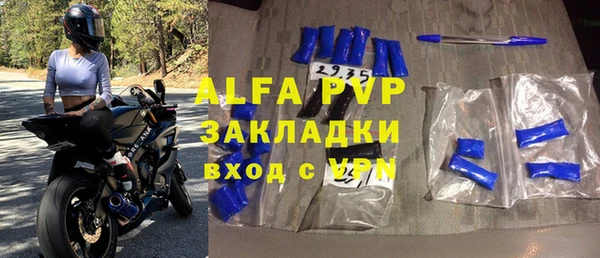 прущие грибы Куйбышев