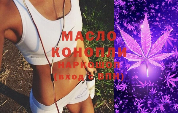 индика Кулебаки