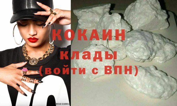 прущие грибы Куйбышев