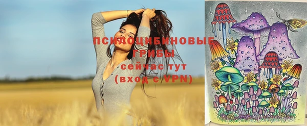 прущие грибы Куйбышев