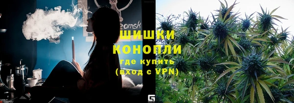 прущие грибы Куйбышев
