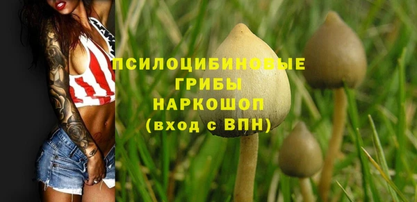 прущие грибы Куйбышев