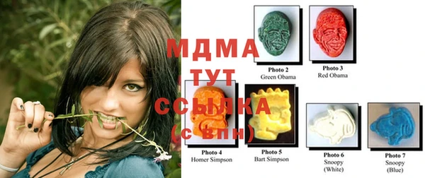 индика Кулебаки