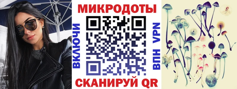 Псилоцибиновые грибы Psilocybine cubensis  Нахабино 
